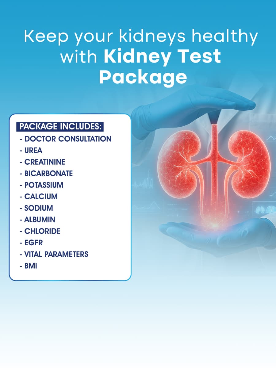 Kidney Test Package